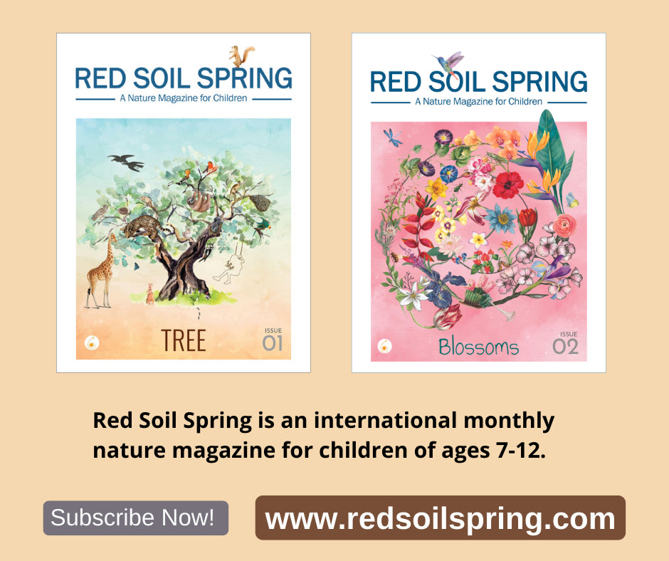 Red Soil Spring magazine